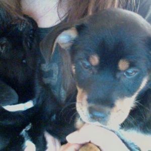 Meet your Posher, Gloria